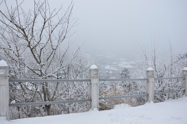 dsc_0071.jpg