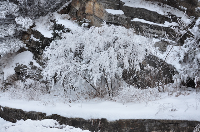 dsc_0073.jpg