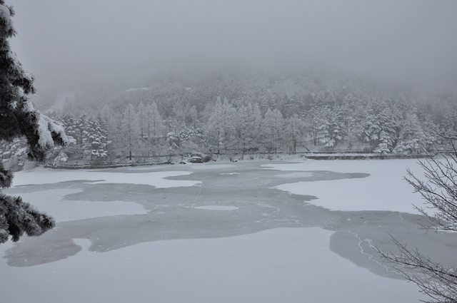 dsc_0078.jpg