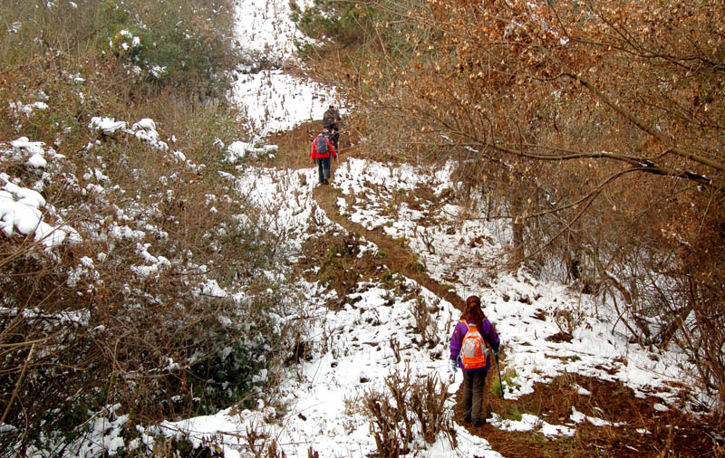 ڷ2011 (134).jpg