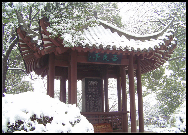 20110120ƺ¥c (35).jpg