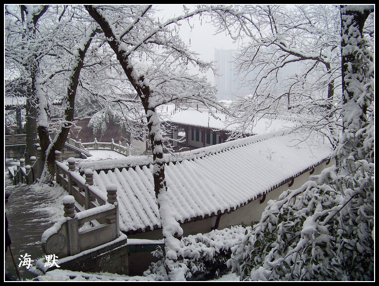 20110120ƺ¥c (47).jpg