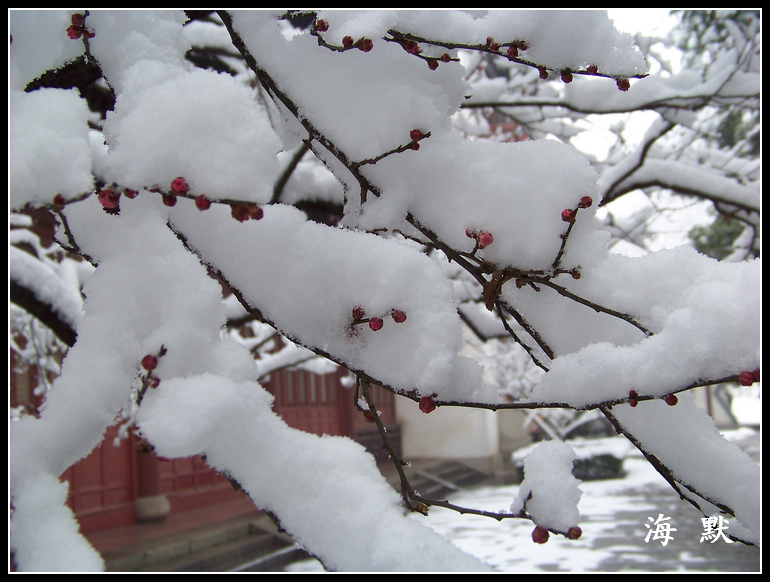 20110120ƺ¥f÷ (28).jpg