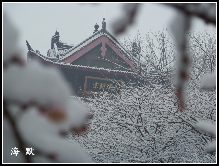 20110120ƺ¥f÷ (33).jpg
