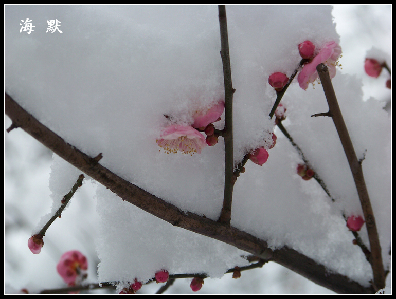 20110120ƺ¥f÷ (32).jpg