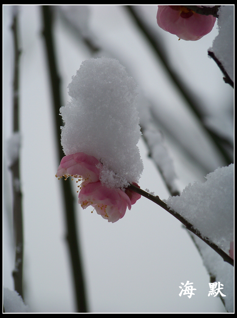 20110120ƺ¥fޱ԰ (14).jpg