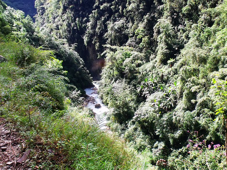 dscf9126.jpg