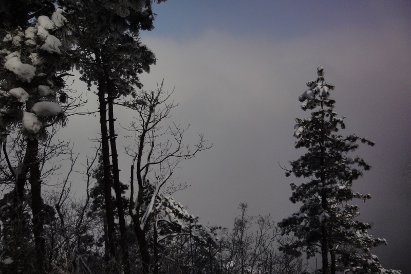 dsc04412.jpg