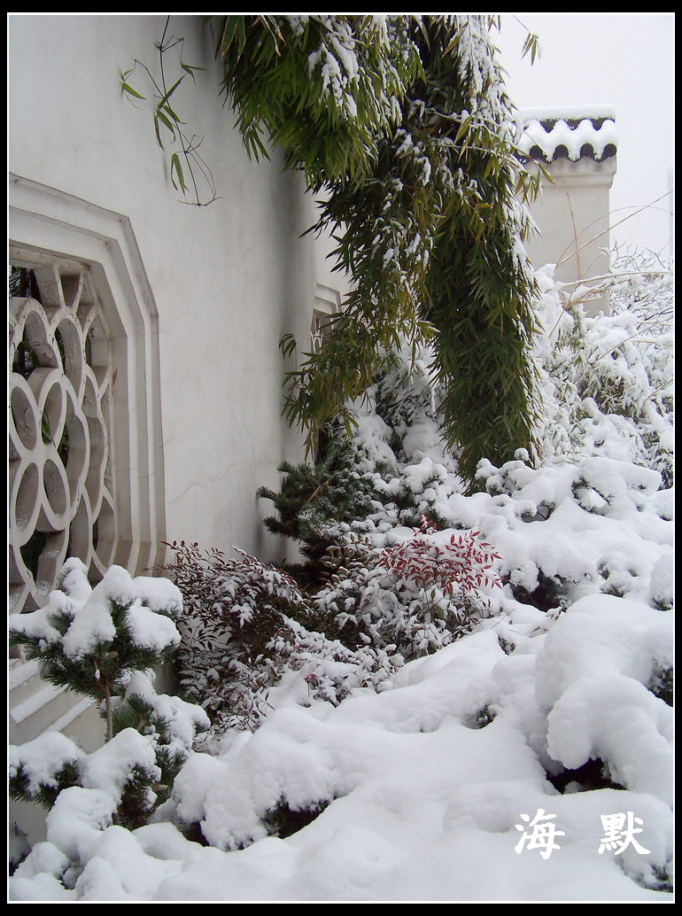 20110120ƺ¥fޱ԰ (26).jpg