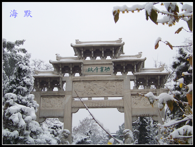 20110120ƺ¥g (12).jpg