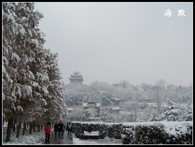 20110120ƺ¥j㳡 (11).jpg