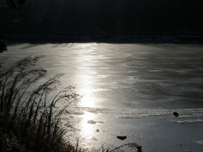 img_0180.jpg