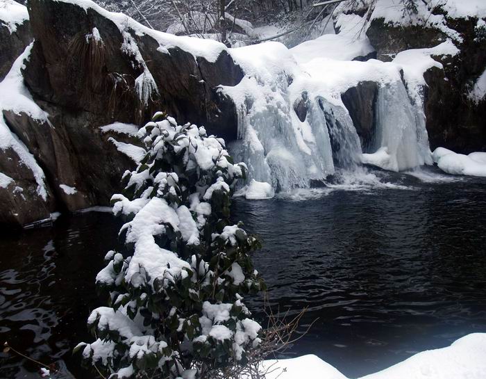 С p1225677.jpg