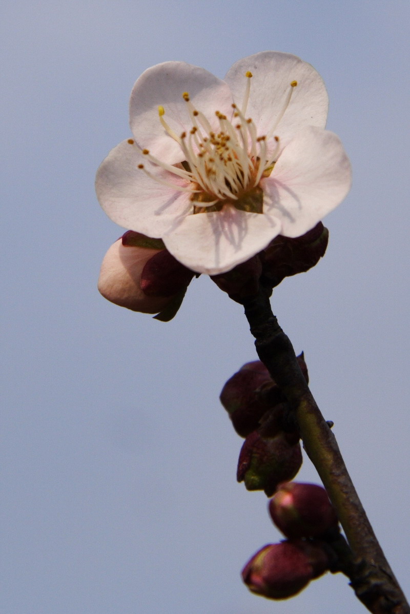 ÷09-1.jpg