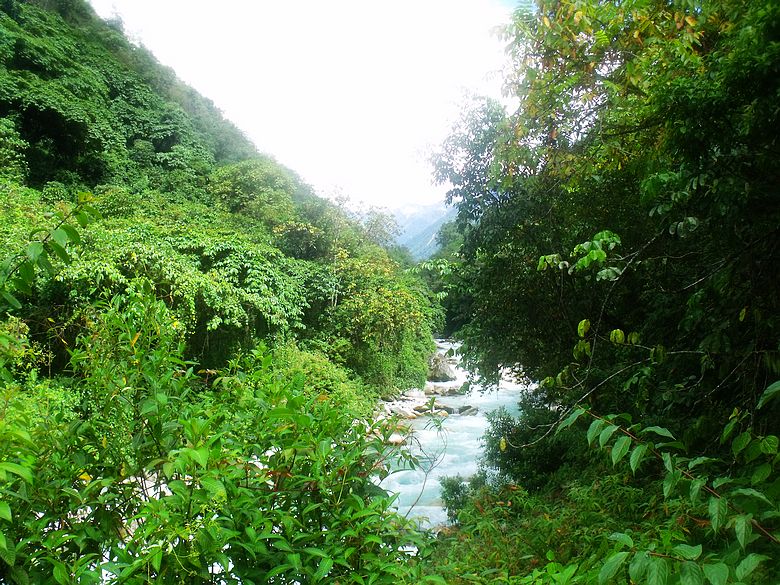dscf9141.jpg