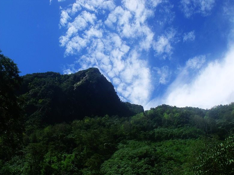 dscf9146.jpg