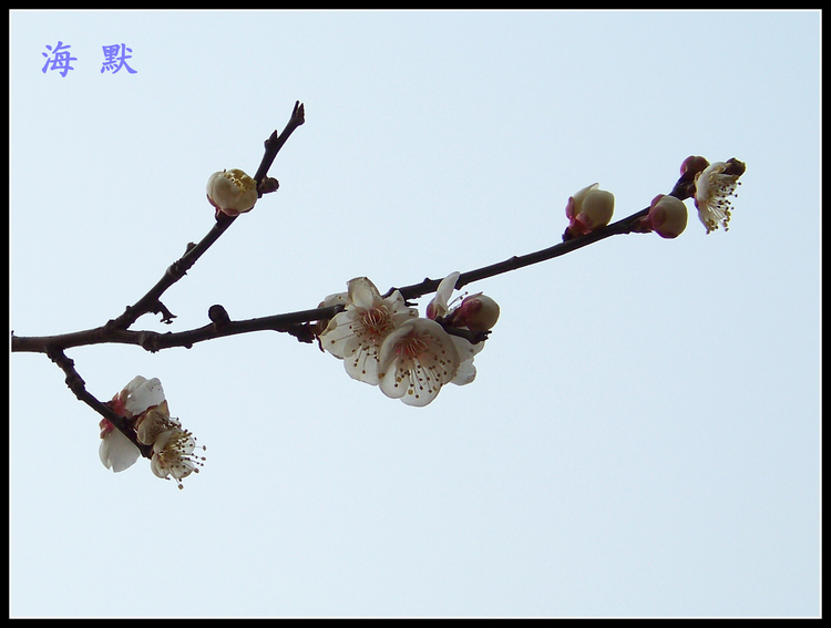 20110130÷ (33)x.jpg