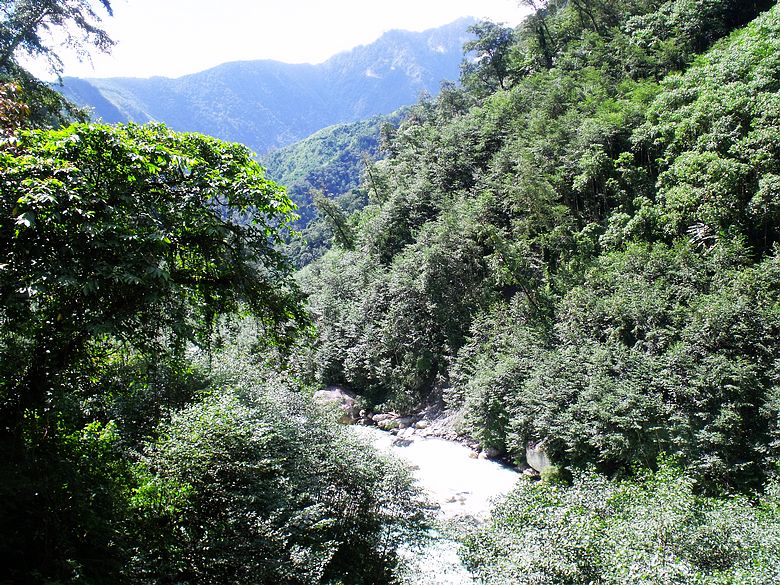 dscf9149.jpg