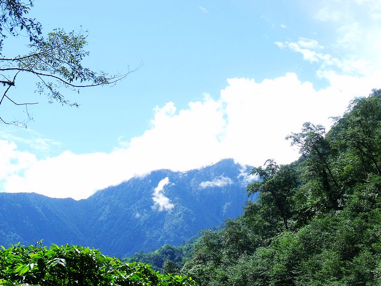 dscf9153.jpg