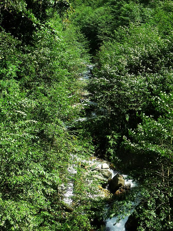 dscf9154.jpg