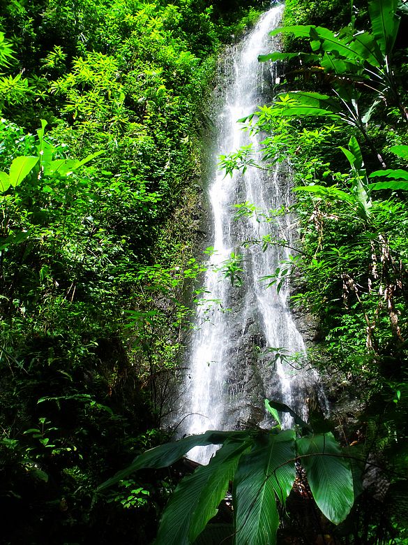 dscf9158.jpg