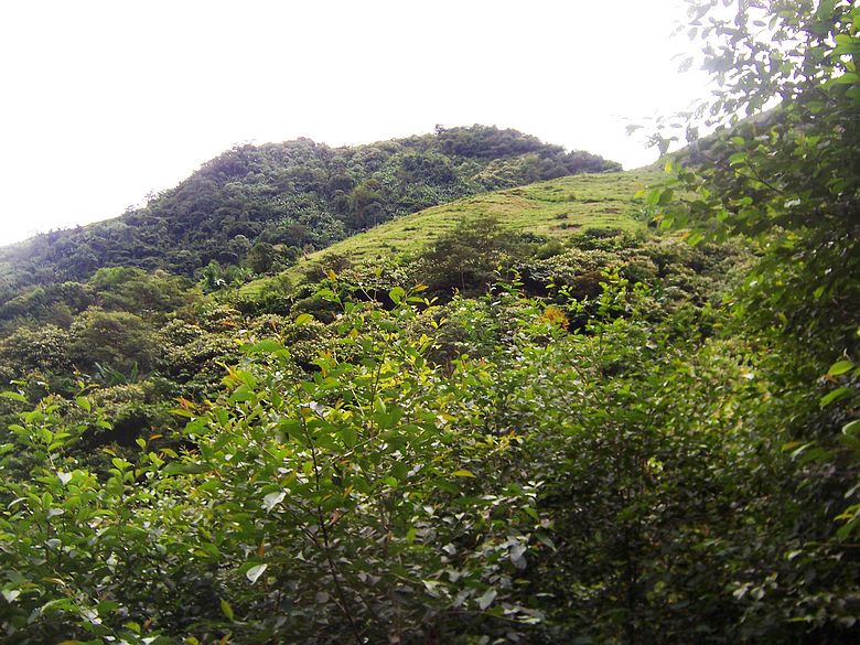 100_9459.jpg