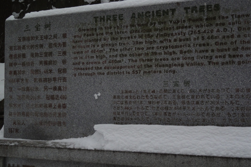 dsc04479.jpg