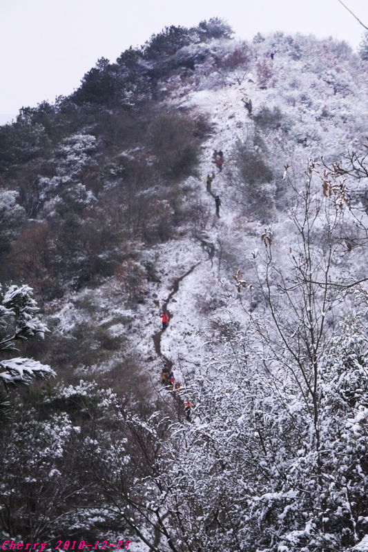2010122601937303-2010ʥ!.jpg