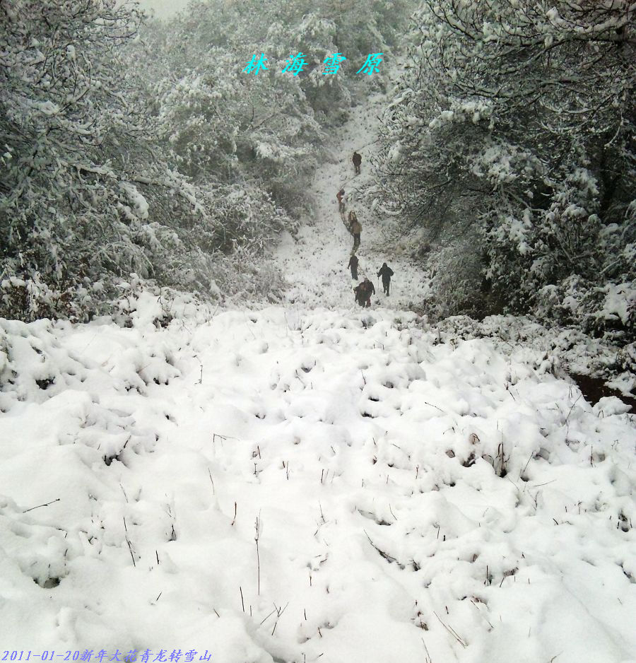 201112289425581-ѩɽ2011-01-20-111.jpg