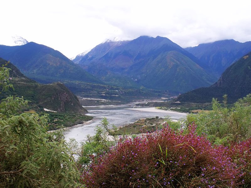 dscf8795.jpg