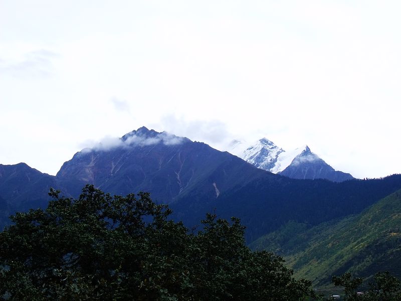 dscf8882.jpg
