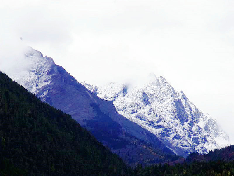 dscf8887.jpg