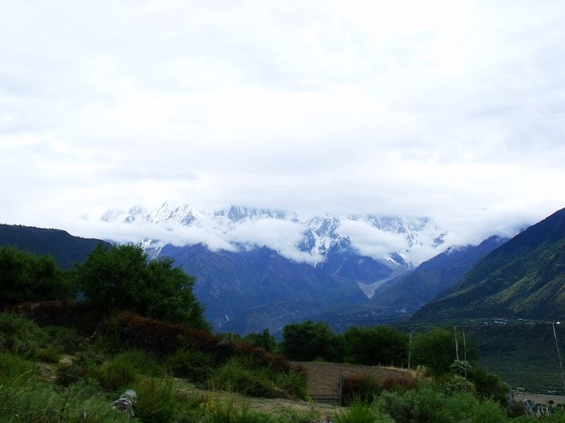 dscf8763.jpg