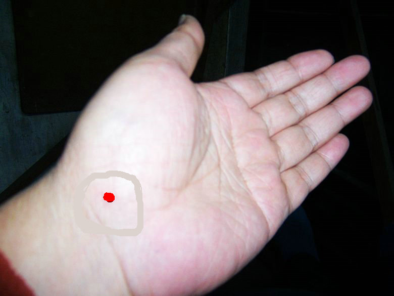 100_9780.jpg