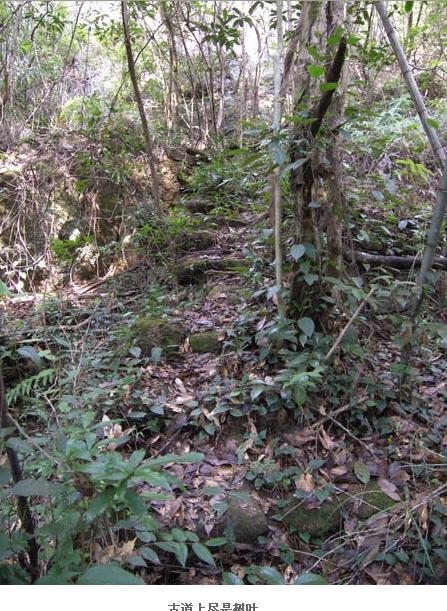 2009032023344892442.jpg