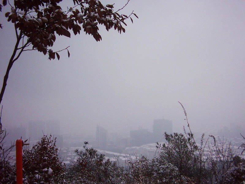 dsci0001.jpg