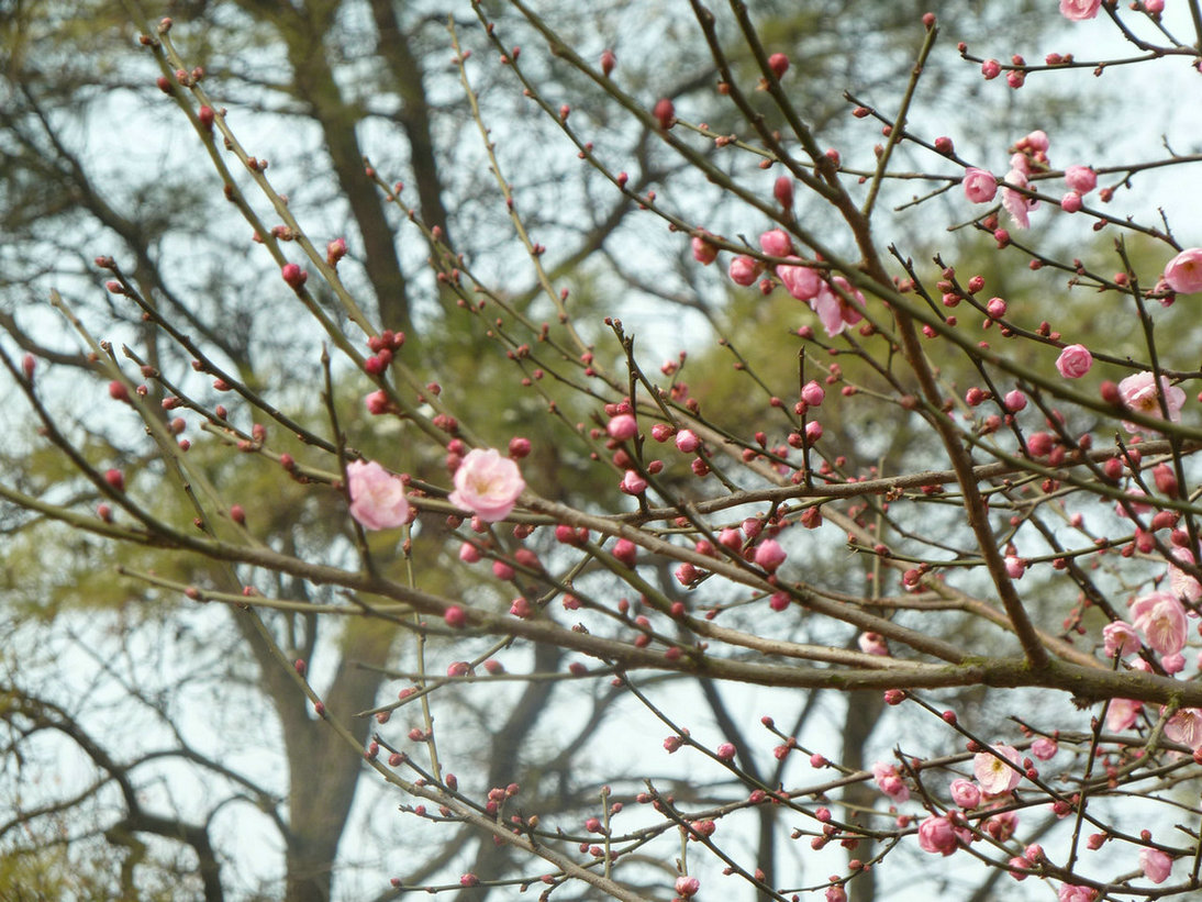 p1020531.jpg