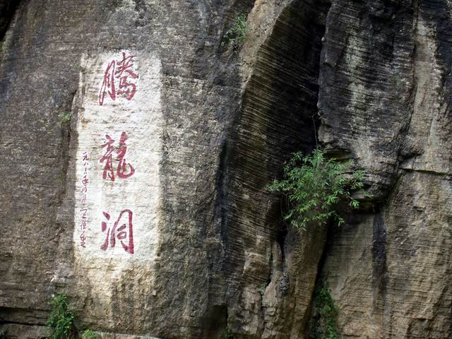 С p8223223.jpg