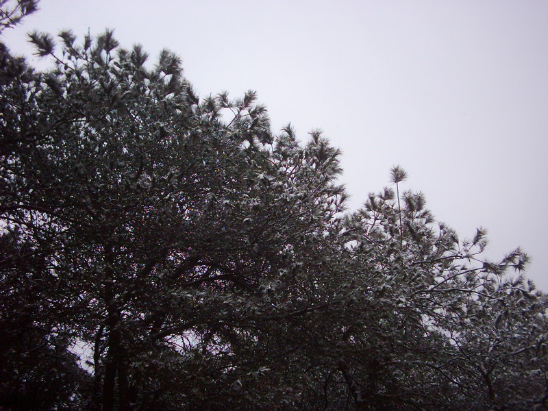 dsci0002.jpg