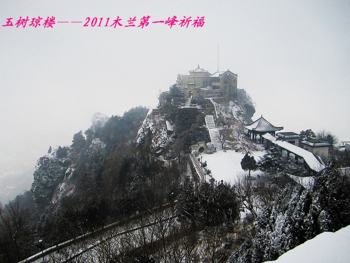 20111313345528800.jpg