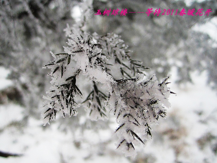 2011131484981913.jpg