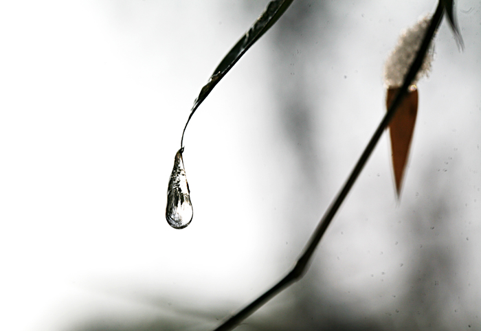 Ƭ 035.jpg