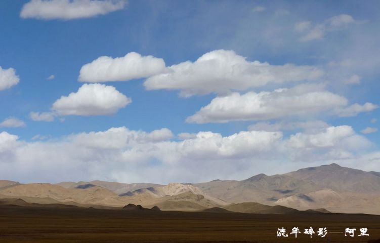 p1000554.jpg