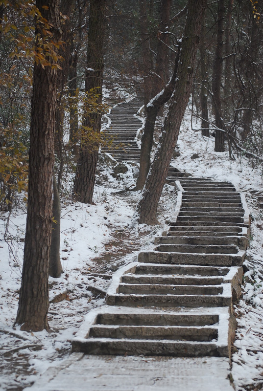dsc_0052.jpg
