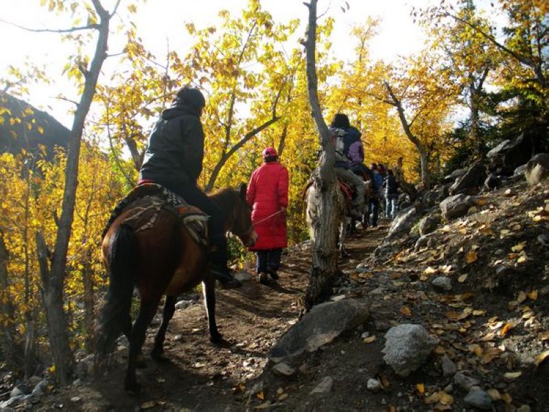 dscn1793.jpg