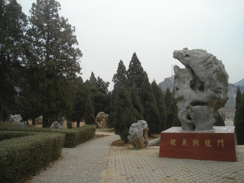 dsc04513.jpg