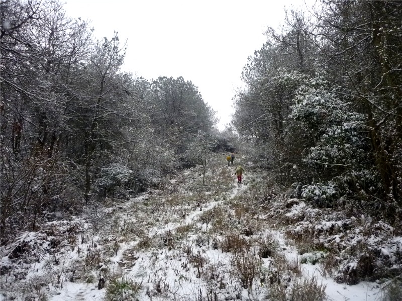 p1040059_.jpg