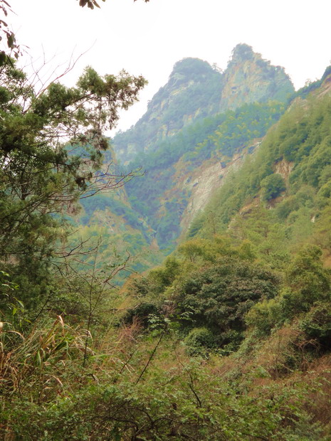 dsc09849.jpg