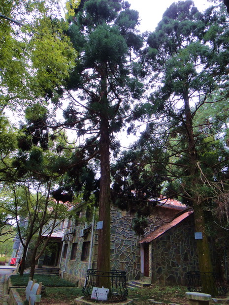 dsc09906.jpg