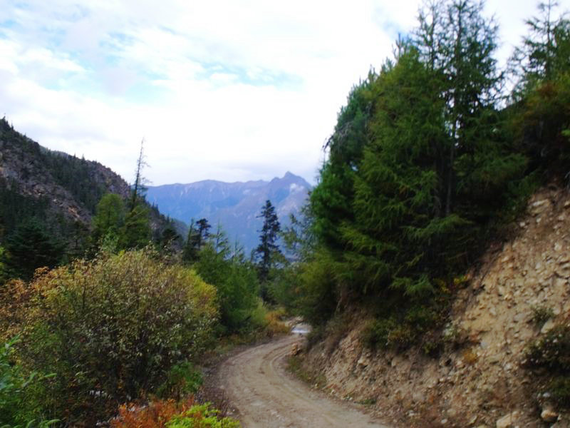 dscf8917.jpg